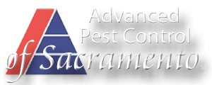 Advanced Pest Control